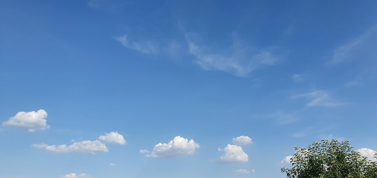 фото из личного архива