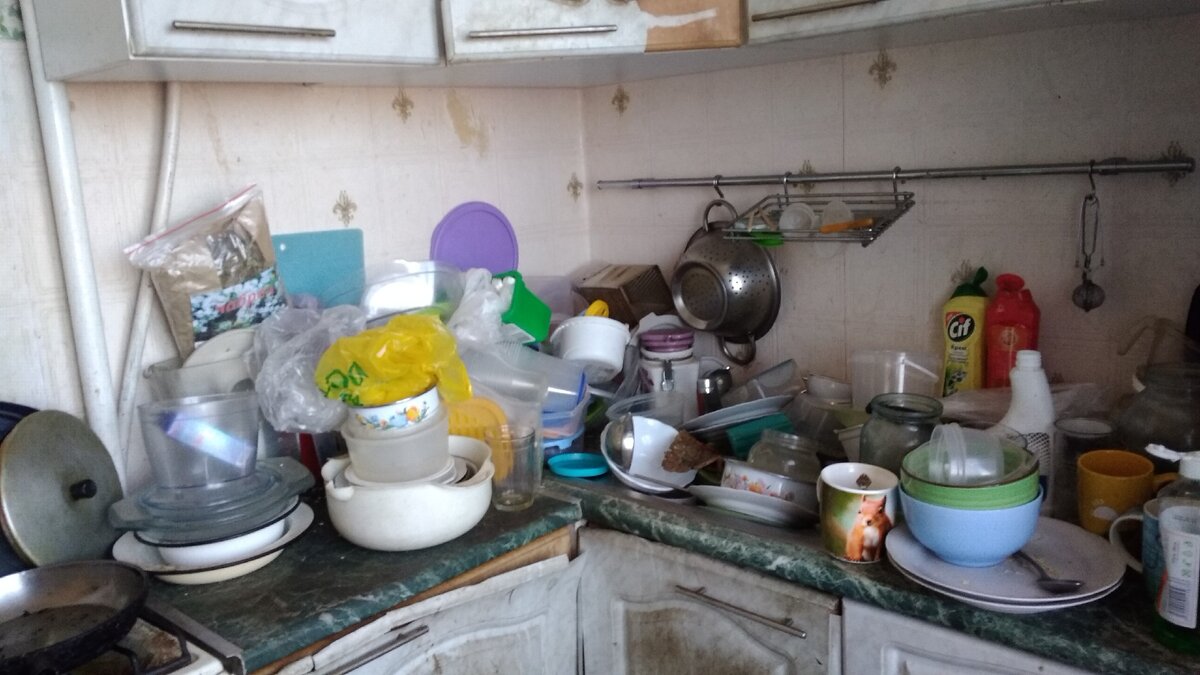 Нет, это не первоапрельская шутка, увы, это моя реальность. Без фильтров и ретуши. Здесь и далее фото автора