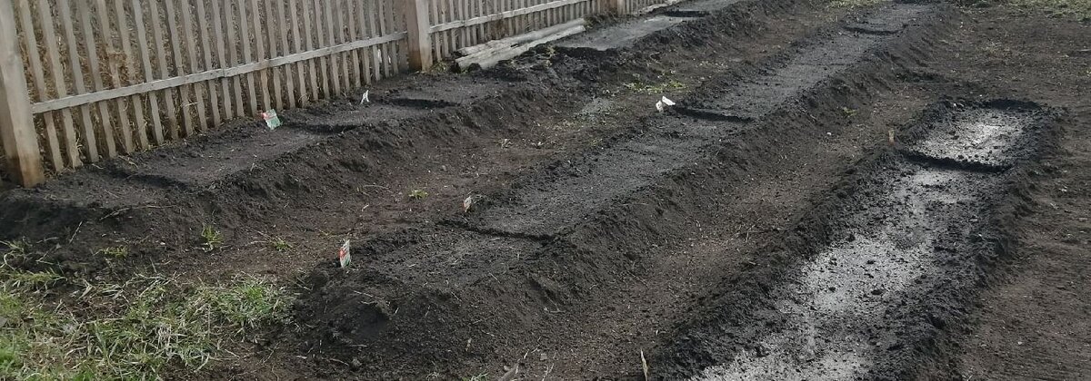 Производя полив посадок, я радовался тому, что сделал себе колодец на участке, а не бегаю по улице в общественный колодец за каждой лейкой. Включил насос и поливай.