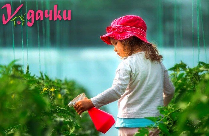 фото из интернета