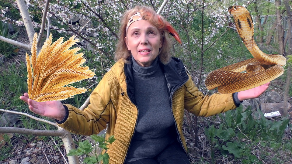 Что мы выбираем, когда принимаем решения?