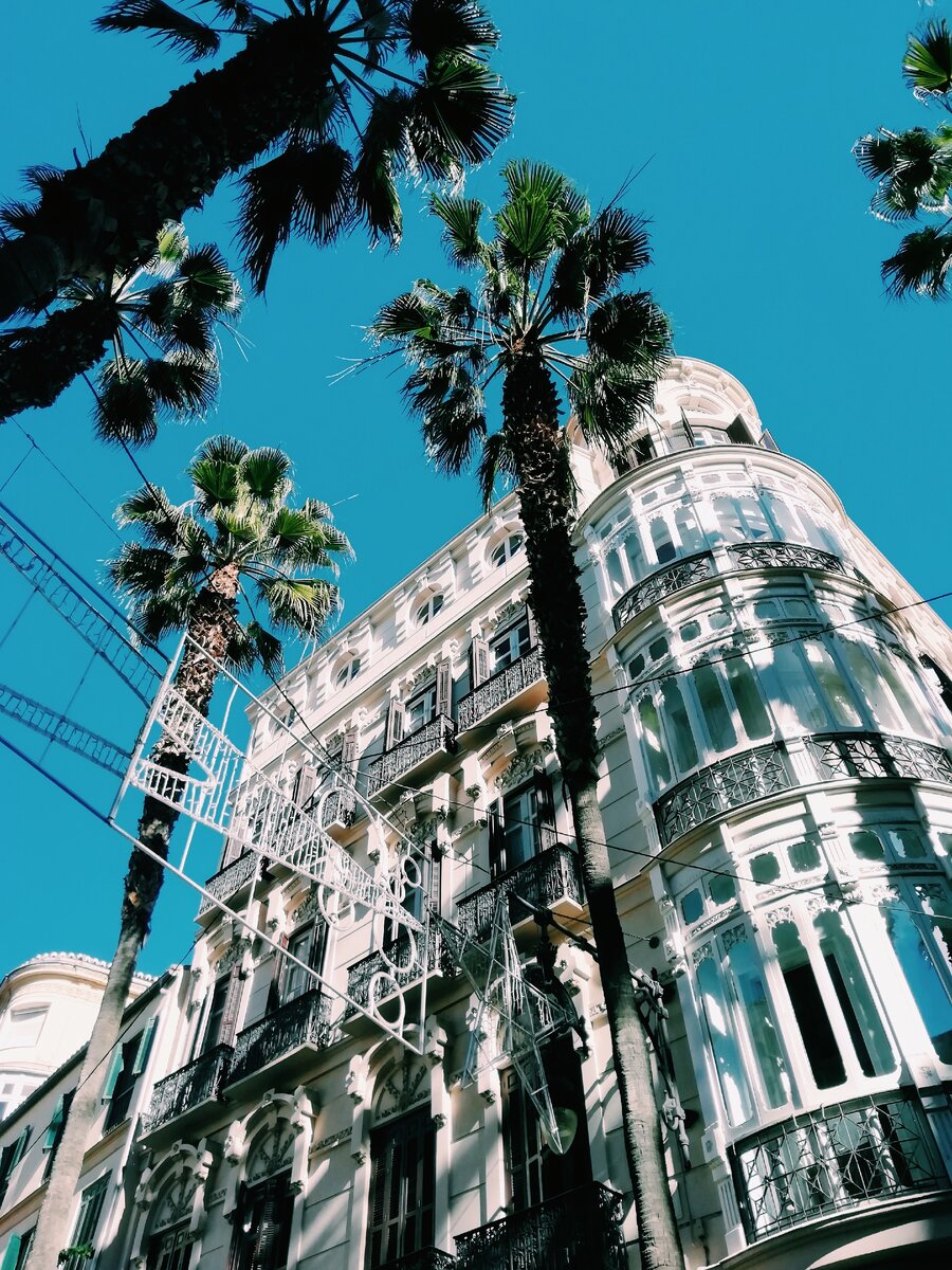 Мы также будем путешествовать, как и до карантина