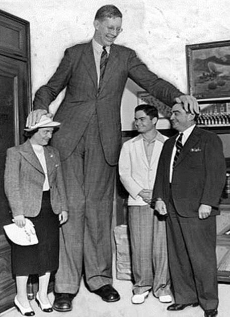 Добрый великан 