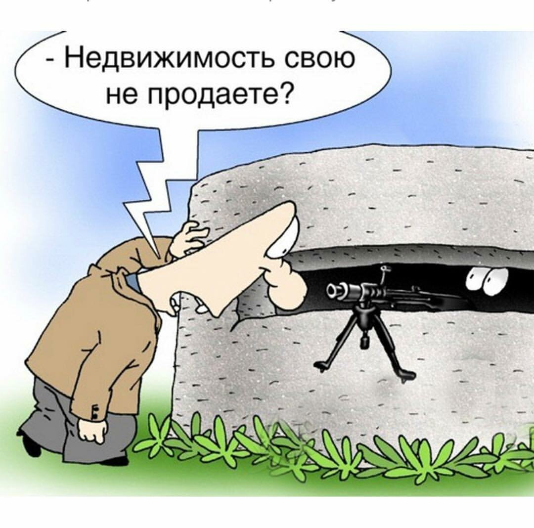 Фото из открытых источников. Яндекс. Картинки