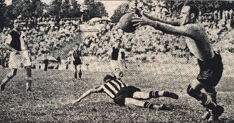 Алекса Бокшай в игре. Источник: Wikipedia.org