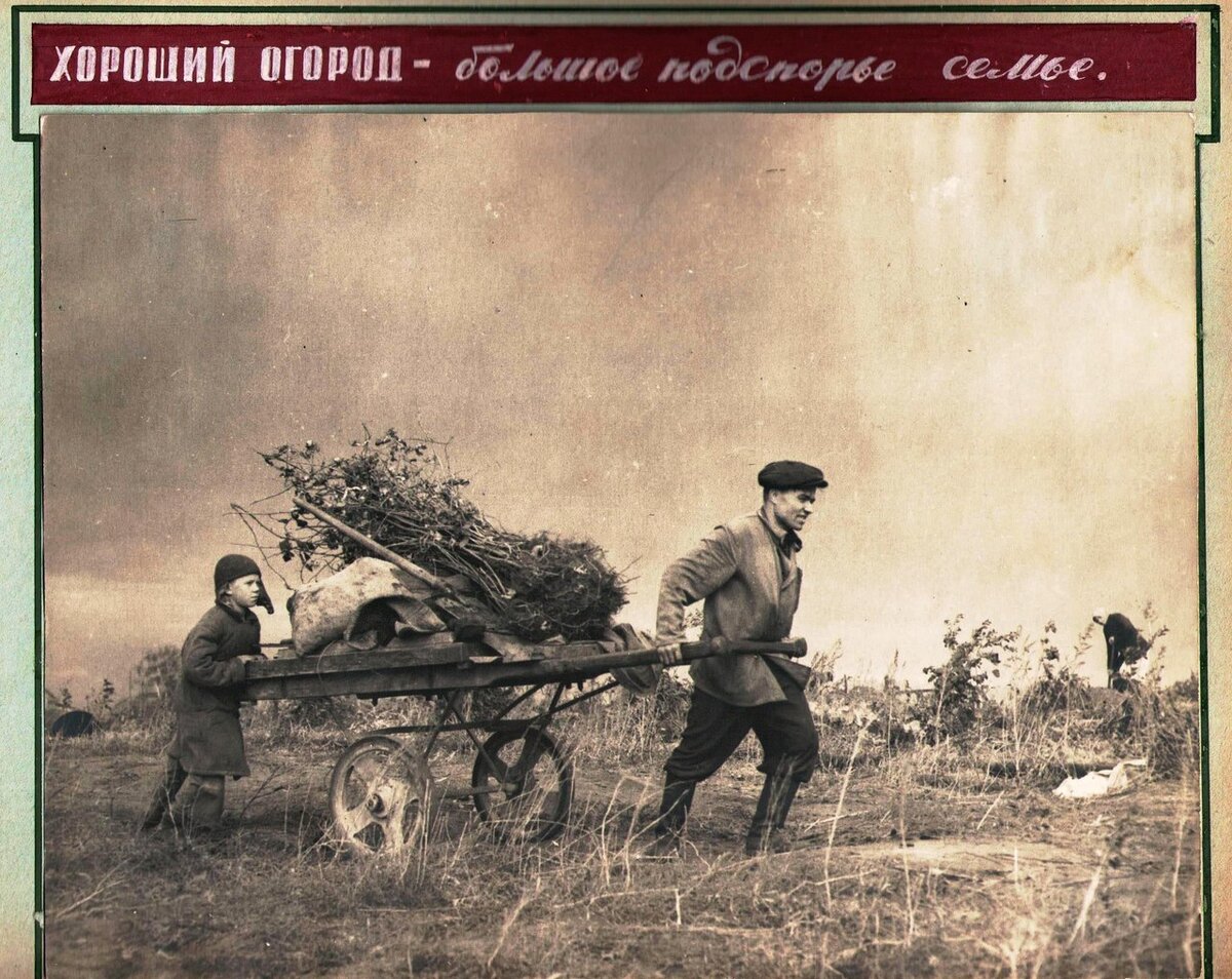 СНТ Малышево  1949г