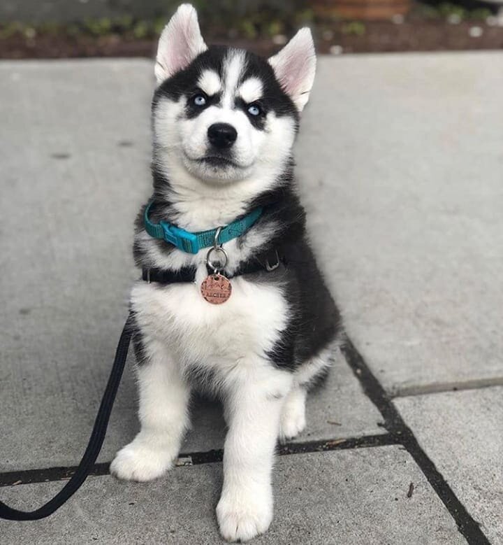 Лайки Друзья 