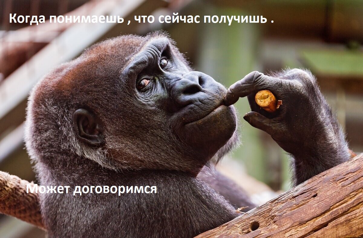 И в последствии получаешь больше , чем хотел.