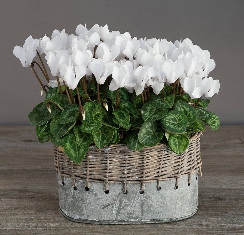 Фото взято с открытого доступа интернет