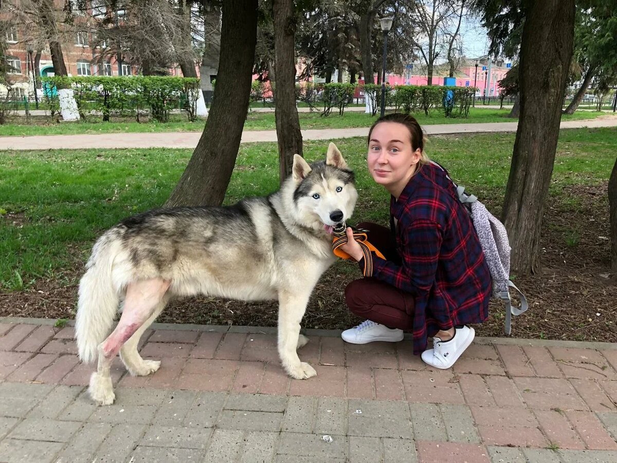 Чтобы получился осмысленный взгляд, фотографу нужно кричать   - "МОРОЖЕНОЕ"))
