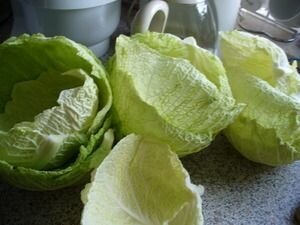     Капустные листья - неотъемлимая обёртка для практически всех голубцов. И для того, чтобы правильно их отделить от кочана, нужно соблюдать некоторые тонкости.   Вырезаем кочерыжку, аккуратно, чтобы не повредить листья. В кочерыжке скапливаются вредные вещества, а нам они не нужны. С оставшегося кочана нельзя просто так оторвать нужное количество листов, когда они свежие, они очень хрупкие и легко ломаются. А значит нужно сделать их более мягкими и податливыми. Для этого лучше всего подойдёт бланширование - обработка продукта кипятком или паром.  Перекладываем капусту в кастрюлю, заливаем кипятком и бланшируем 10-15 минут. Листья должны стать мягкими и легко отделиться от кочана. Но не переварите капусту, иначе листья будут рваться.  Последний штрих - отбиваем кухонным молотком место соединения листа с кочаном - оно очень твёрдое, и нам это не подходит.   