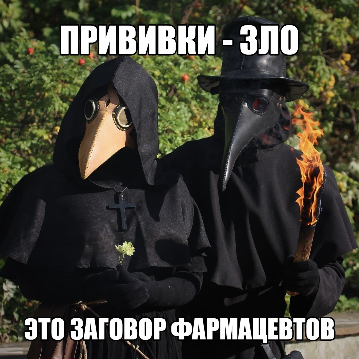 Чумовой мем
