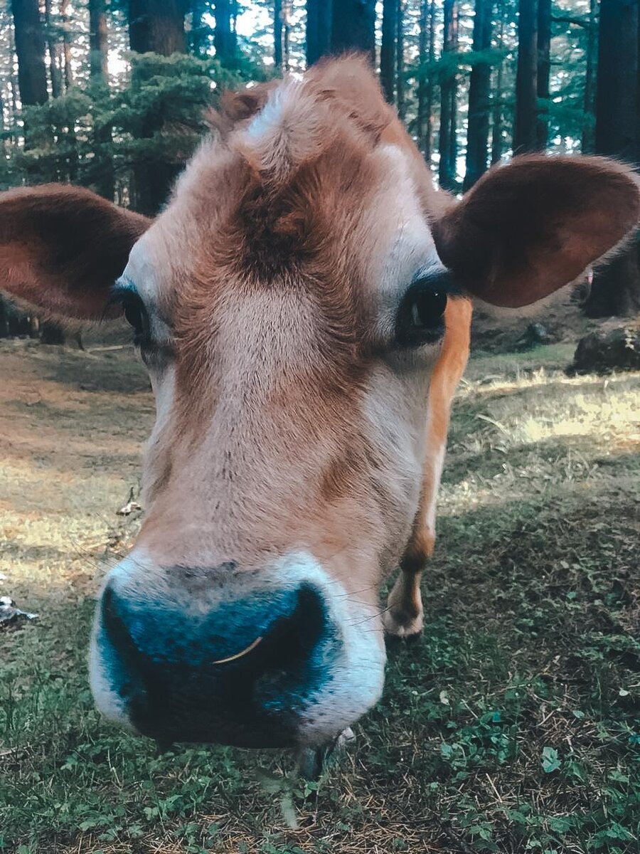 Фотограф: @happy_raspberry