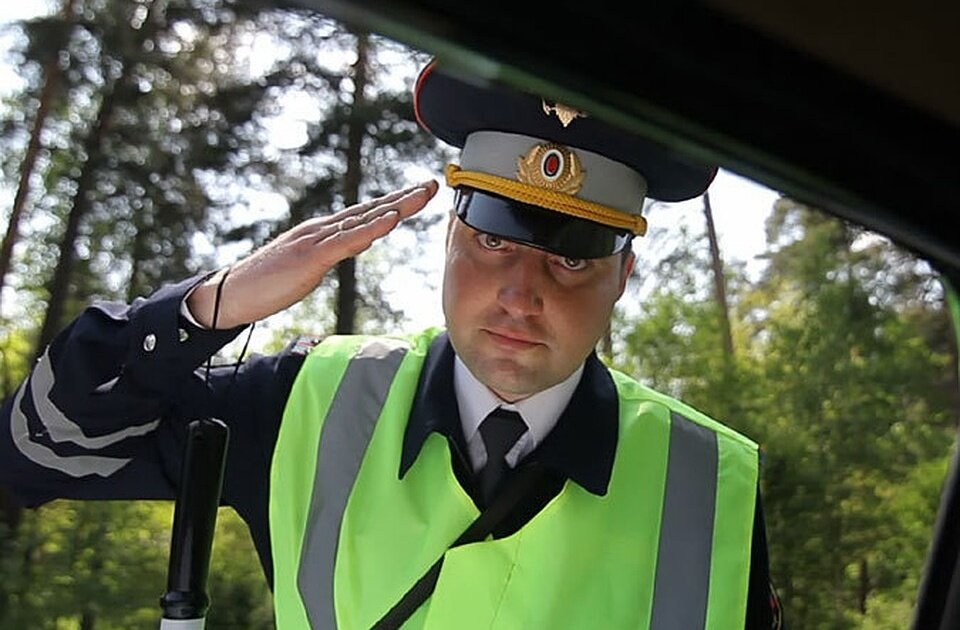 Фото из Яндекс картинок.