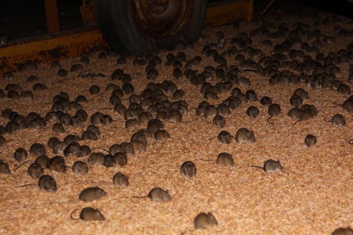 Фото взято из открытых источников.