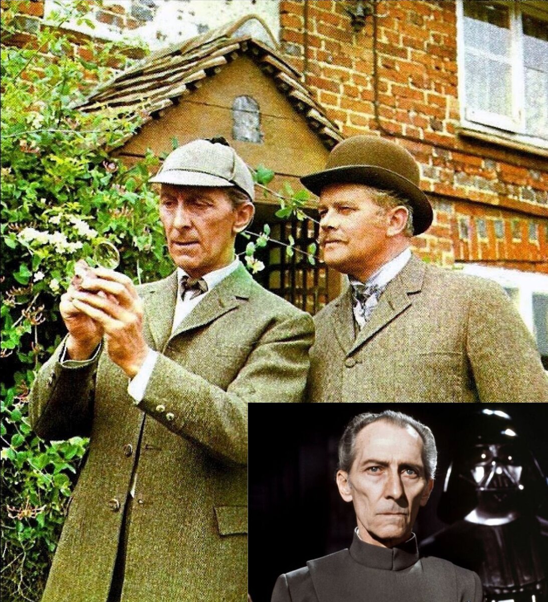 С 1964 по 1968 год, телеканал BBC выпускал сериал "Шерлок Холмс" в котором главную роль сыграл Питер Кушинг, многим более известный как Гранд-мофф Уилхафф Таркин, из вселенной "Звёздных войн"