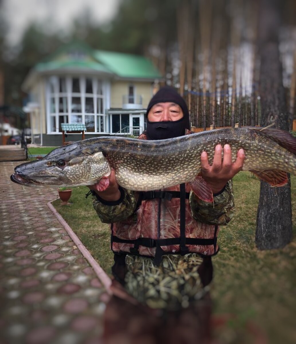 Моя первая трофейная щука