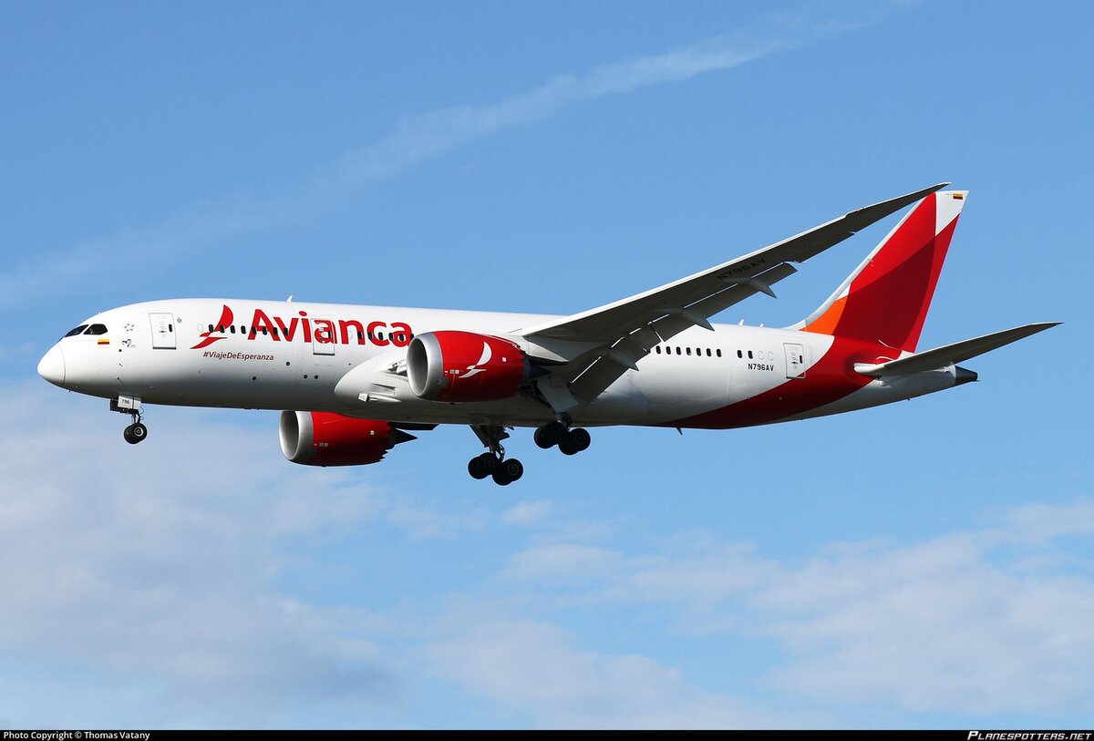 К началу мая 2020 года в парке компаний группы Avianca было 150 самолётов средним возрастом всего 7,4 года. Основу его составляли узкофюзеляжные Airbus A320ceo и A320neo, а для полётов в США и Европу использовались A330ceo и Boeing 787 Dreamliner (на фото приземляется в аэропорту Мюнхена)