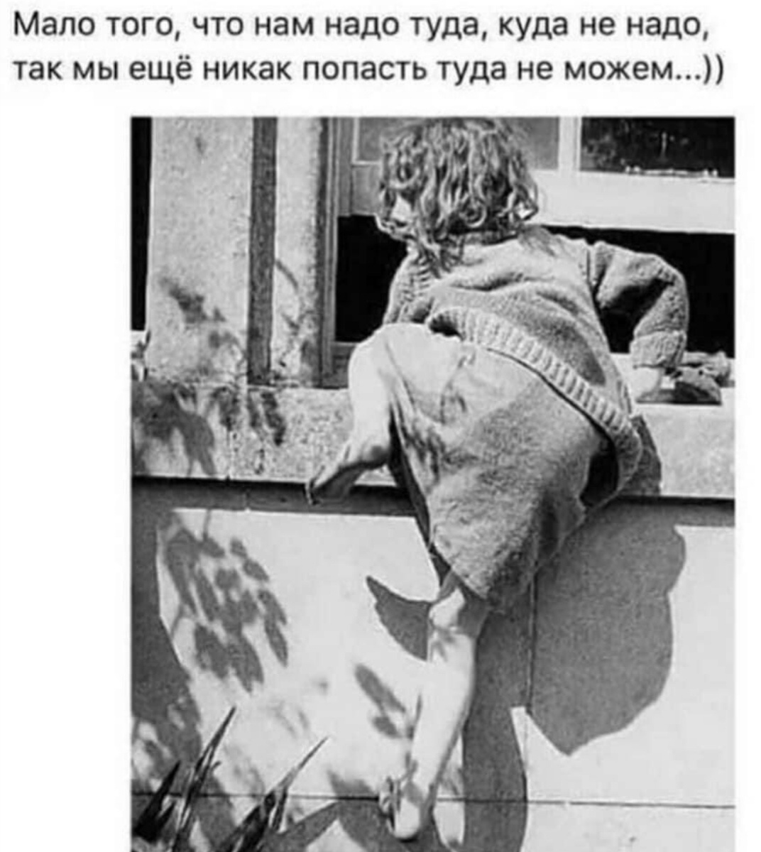 Источник Яндекс картинки