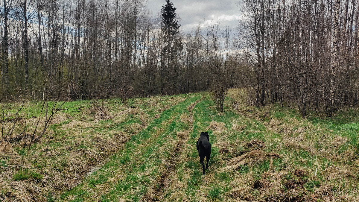 фото автора AS-FOTOS.RU