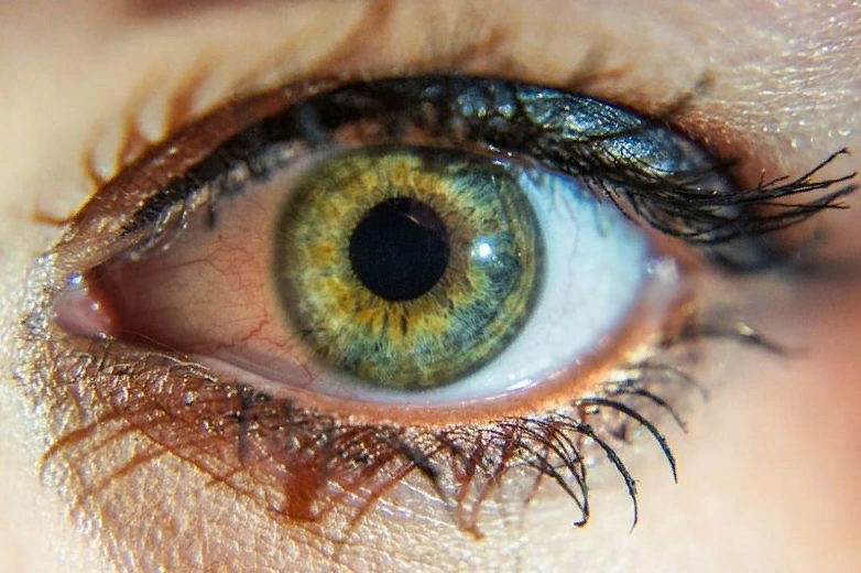 Довольно часто люди, увлекающиеся фотографией, да и специалисты из других профессией, проявляют интерес к собственным глазам. Наше зрение по своему устройству похоже на фотокамеру. Убедитесь и вы: роговица выполняет роль защитного фильтра, зрачок – объектив с находящейся внутри линзой (хрусталиком).
В качестве диафрагмы выступает радужная оболочка, а сетчатка – матрица. По законам оптики, равно как и в камере, на сетчатке глаза картинка получается перевернутой. Обратно ее переворачивает уже наш мозг, как процессор в фотокамере.
Напрямую сопоставлять качество изображения человеческого глаза и цифровой матрицы немного некорректно из-за совершенно разного механизма получения картинки. И все-таки были проведены исследования, в ходе которых по неявным признакам определили, так называемую, «мегапиксельность» наших глаз. Если сравнивать пиксели со светочувствительными элементами сетчатки глаза, то в каждом глазу будет порядка 140 мегапикселей.