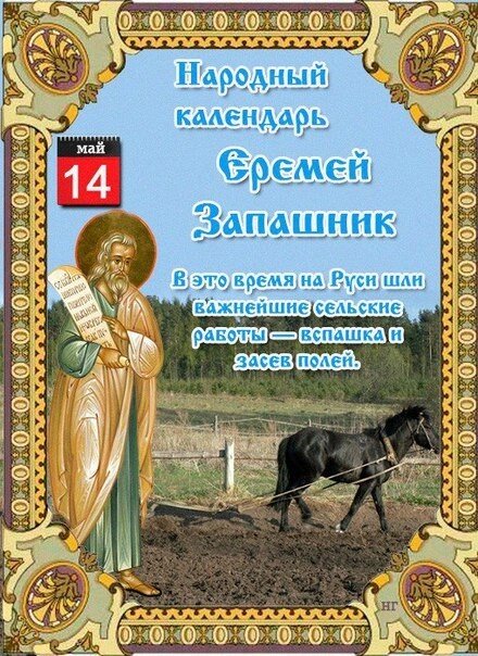 Еремей Запрягальник 

Дата в 2020 году:14 мая

Другие названия: Еремей Запашник; День Еремея Запрягальника; Еремей-яремник; Яремник-Засеватель; запашник; засеватель; яремник; посевы; пролетье
Церковное название: Пророка Иеремии
Значение: День памяти пророка Иеремии
Традиции: Пахотные и посевные работы; кормление стрижей

Народный праздник Еремей Запрягальник отмечается 14 мая 2020 года (дата по старому стилю – 1 мая). Православная церковь в этот день чтит память пророка Иеремии. Его имя в народе переиначили в Еремея. Праздник назвали «Запрягальником» потому, что на Руси это время отводилось для пахоты и посева.

История

Иеремия – один из четырех величайших пророков, о которых упоминается в Ветхом Завете. Он родился в 655 году до н. э. в городе Анафоф, неподалеку от Иерусалима. В 15 лет, когда ему явился Господь, он узнал о своем предназначении. Последующие 23 года предрекал иудеям беды и войну за отступничество от истинной веры. 

По велению Бога он одел на шею деревянное, а после и железное ярмо, как символ будущего рабства народа иудейского. Первое пророчество о нападении на Иерусалим Навуходоносора сбылось.

Вскоре в вооруженном столкновении погиб наместник правителя. Иудеи опасались гнева Навуходоносора и ушли в Египет. Они забрали с собой Иеремию. Через четыре года он предсказал, что вавилонский правитель придет в Египет и истребит иудеев. За это земляки его убили. Спустя несколько месяцев пророчество Иеремии сбылось.

Традиции и обряды

14 мая судят по луне, стоит ли работать на земле. Если она растущая – самое время приступать к работам. Если идет на убыль, то полевые работы будут неудачными. Если день пришелся на полнолуние, настал срок для посева пшеницы и ржи. За два дня до или после Еремея Запрягальника сеют овес. Про этот злак есть хорошая поговорка: какая бы ни стояла погода на дворе, овсу главное, чтобы он был посеян в срок.

В этот день просят помощи у святого Иеремии в тот миг, когда люди и лошади уже готовы упасть от усталости. Сам святой спускается с небес и помогает закончить работу.

14 мая – третий и последний день встречи весны. В это время прилетают стрижи – вестники теплых дней. Любители пернатых готовят для них лакомства: хлебные крошки и конопляное семя.