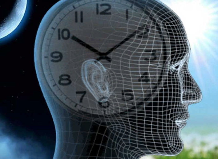 Циркадные ритмы отражают стабильность работы биоритмов и отражают состояние здоровья.