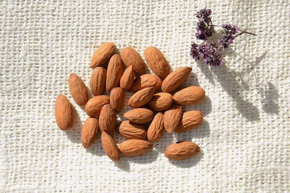 https://cdn.pixabay.com/photo/2016/05/22/14/55/almond-1408599_960_720.jpg