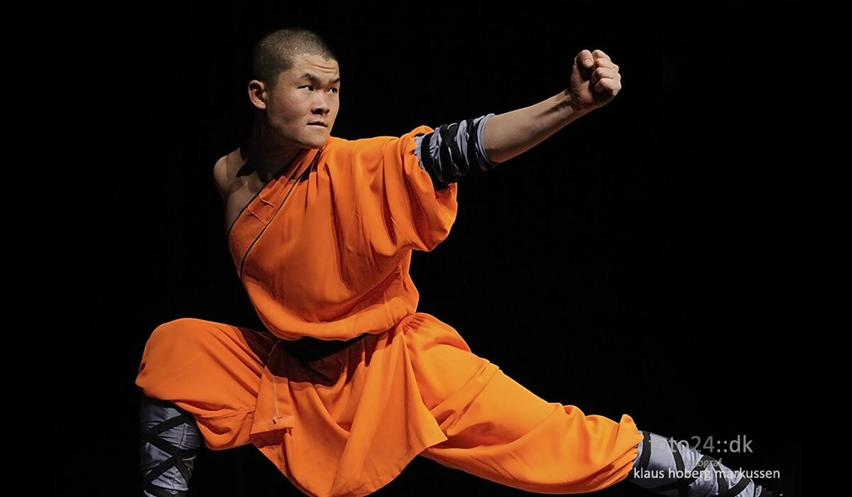 Бацзицюань таолу. Таолу чанцюань. Движения каких зверей составляют базовую шаолиньскую разминку. Брошюра шаолиньский лохань. Ушу стиль тигра самоучитель.