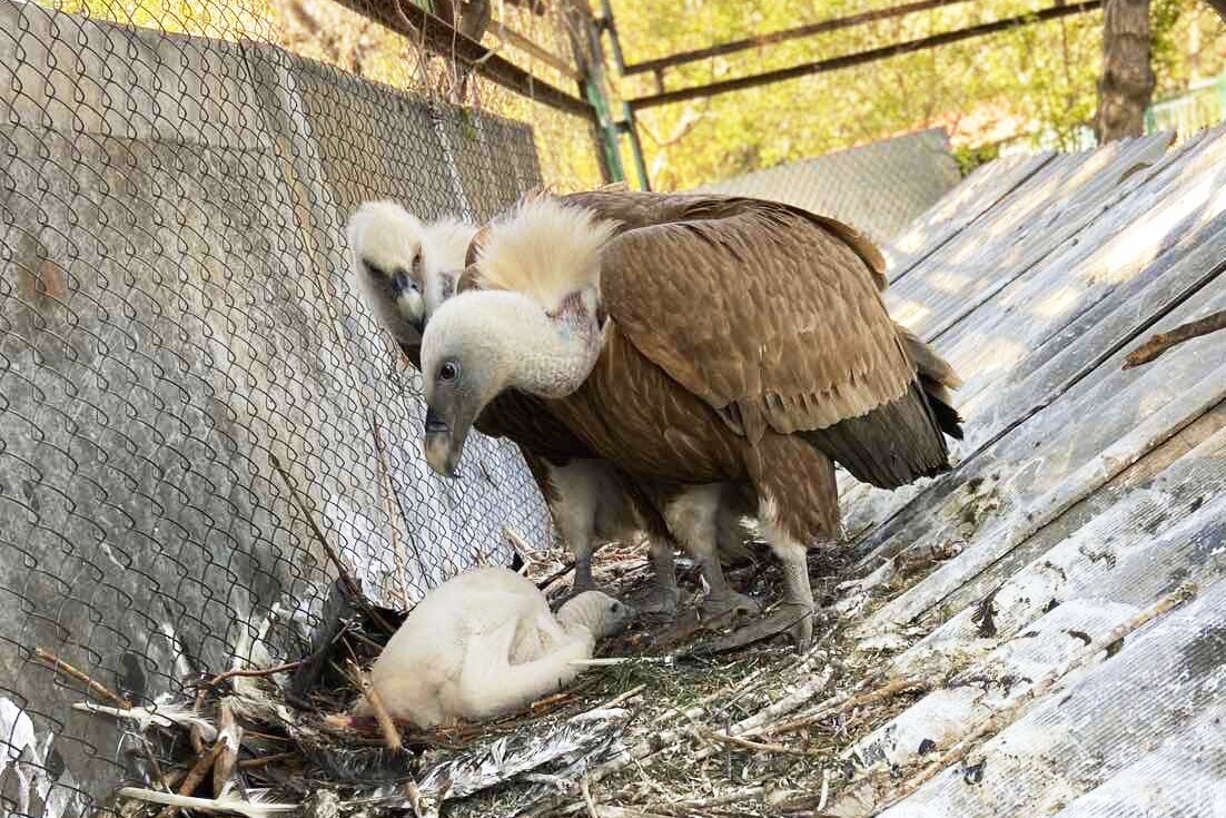 Фото работников зоо-уголка.