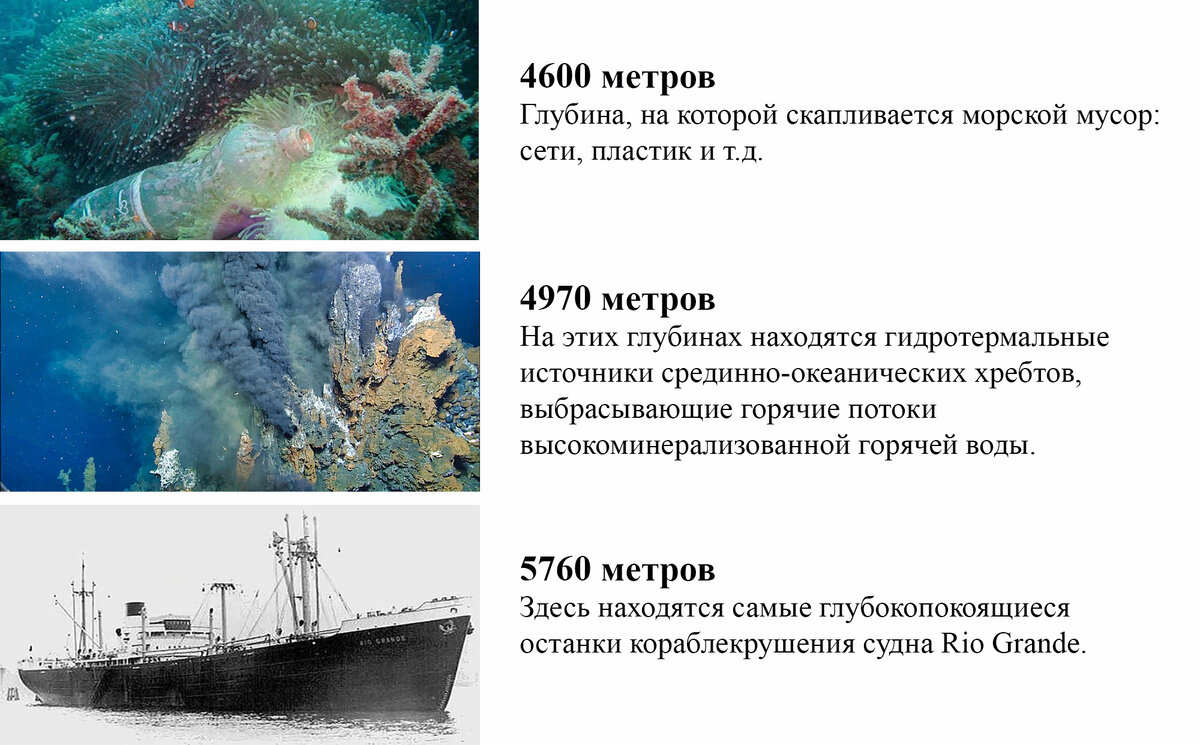 Виртуальное путешествие на дно океана. | Amazing World | Дзен