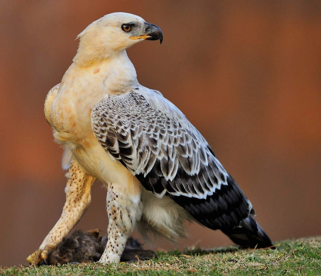 Он тоже рад вас всех видеть 