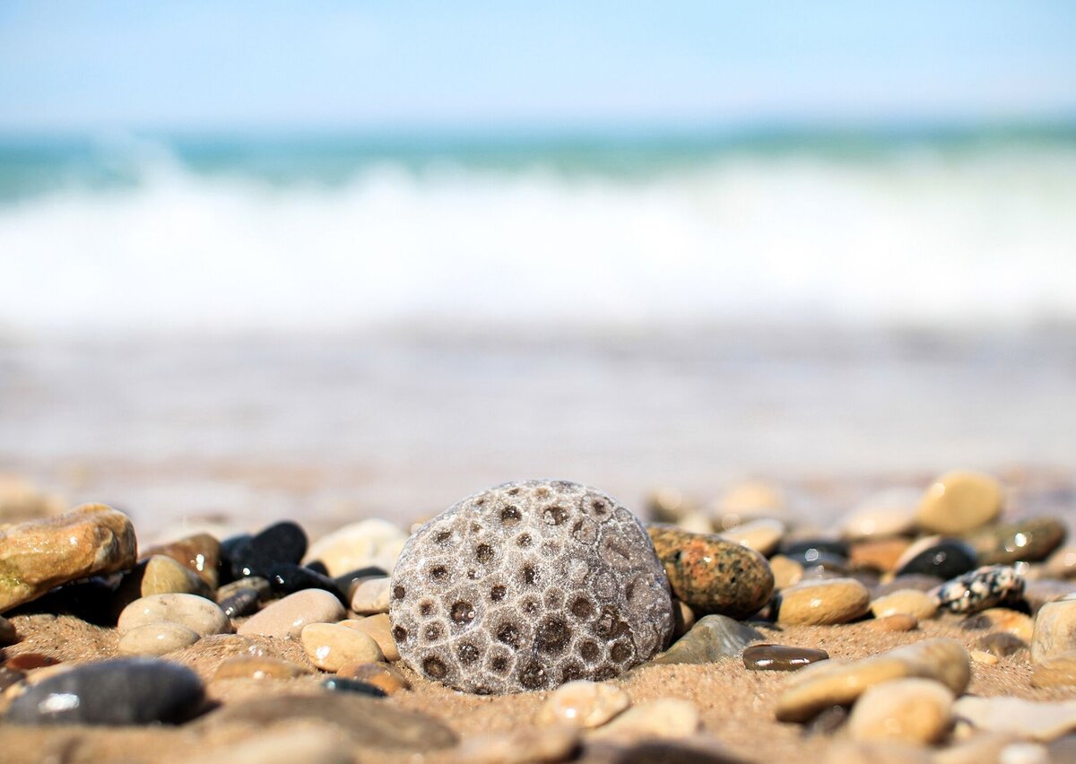 прибрежные находки