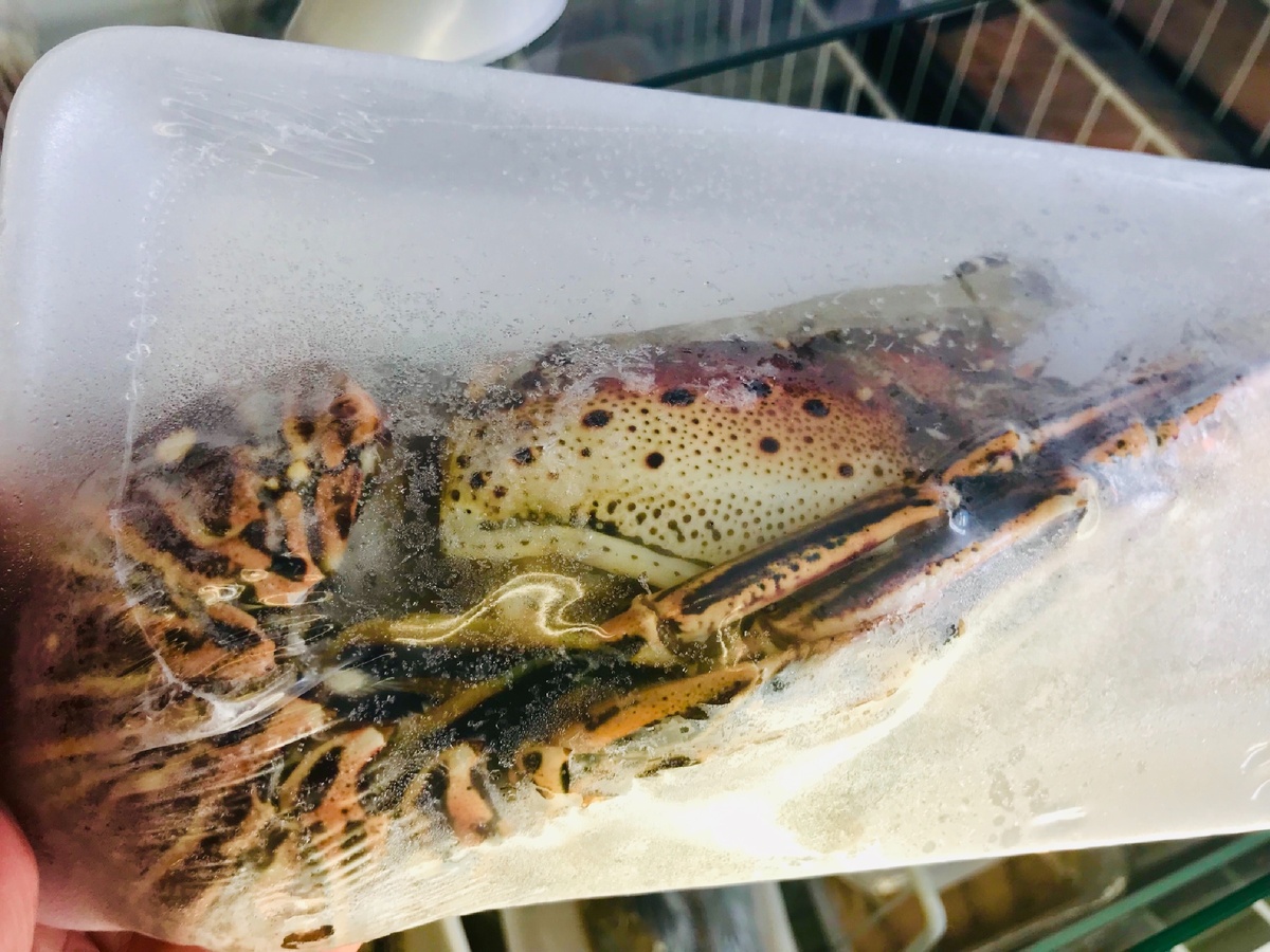 Как туристам поесть вдоволь морепродукты в Италии и при этом сэкономить. Продолжаю отвечать на вопросы читателей