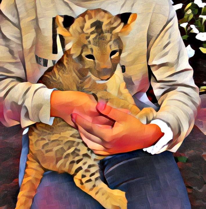 Львёнок на память