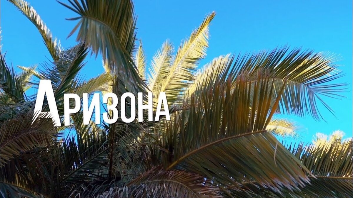 Аризона