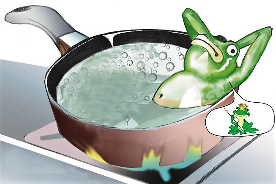 Как приготовить суп из лягушки