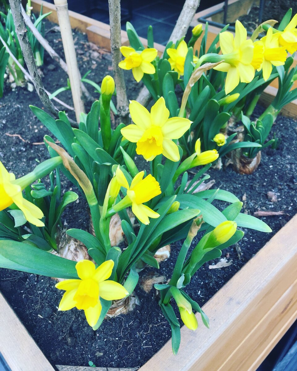 А это позитивное фото моего авторства - для моих уважаемых читателей.