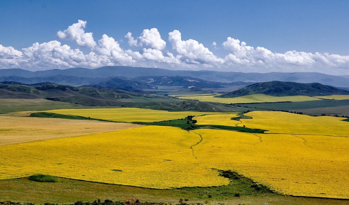 ЗЫРЯНОВСК(Алтай) ВКО