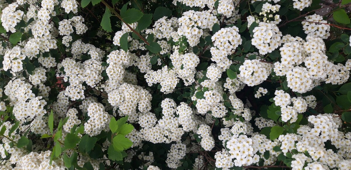 Это вам немного красоты от меня.