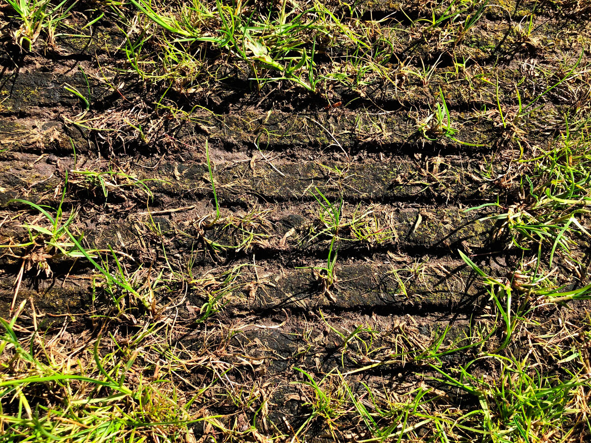 А эти борозды не уходят ни после дождей ни после поливов. Такая земля(