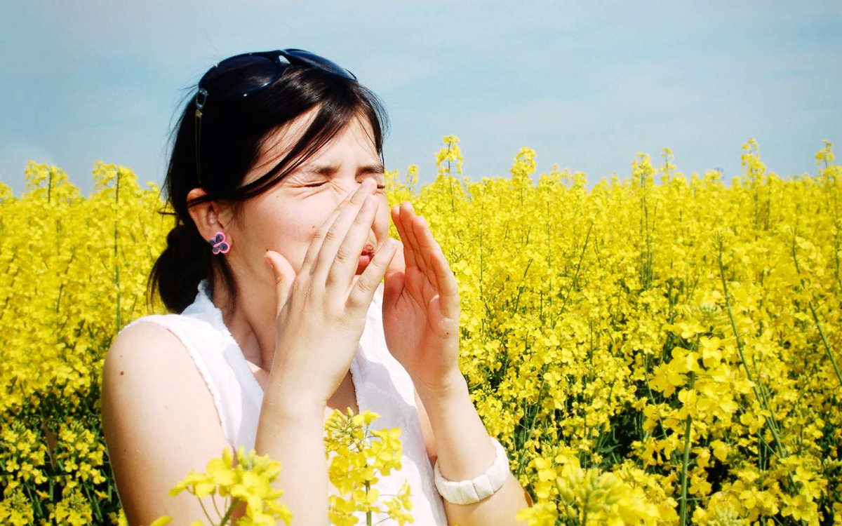 Источник: stop-allergies.ru