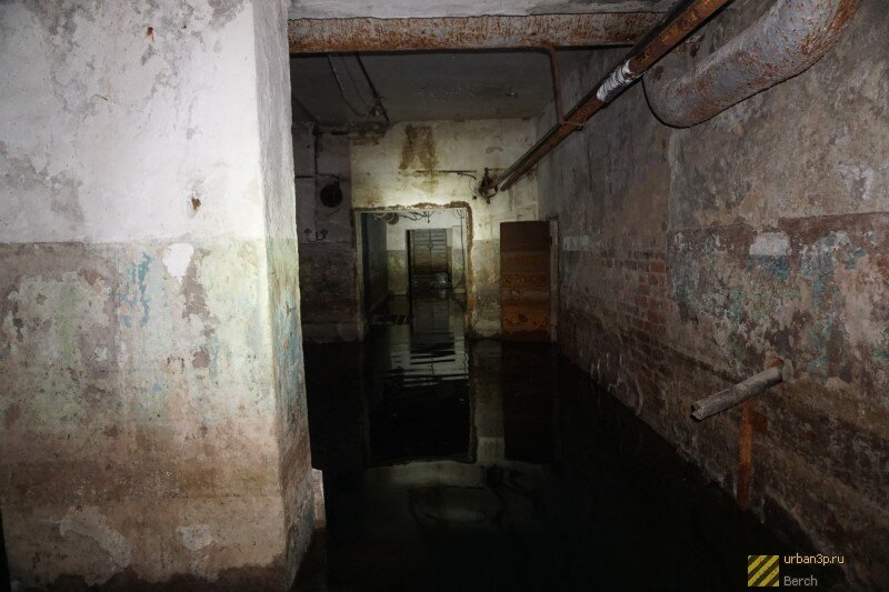 Охраняемость:незначительная