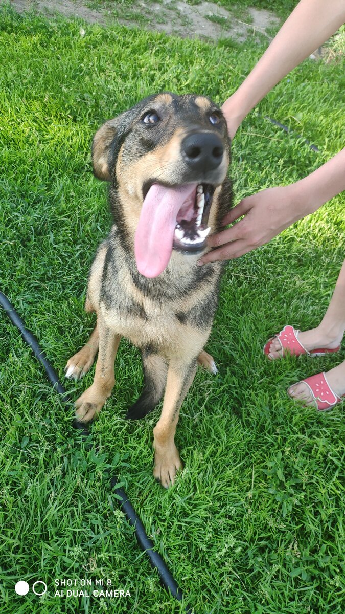 Игривая и кокетливая Малинка