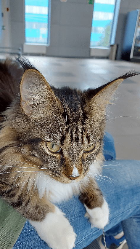 В ожидании регистрации