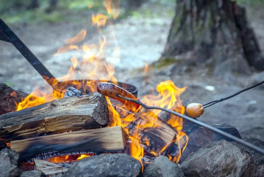 Фото: pixabay.com