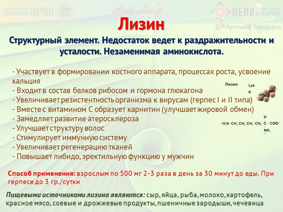 Лизин что это и для чего