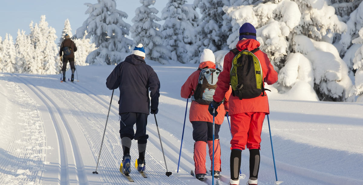 Доступное фото из интернет.