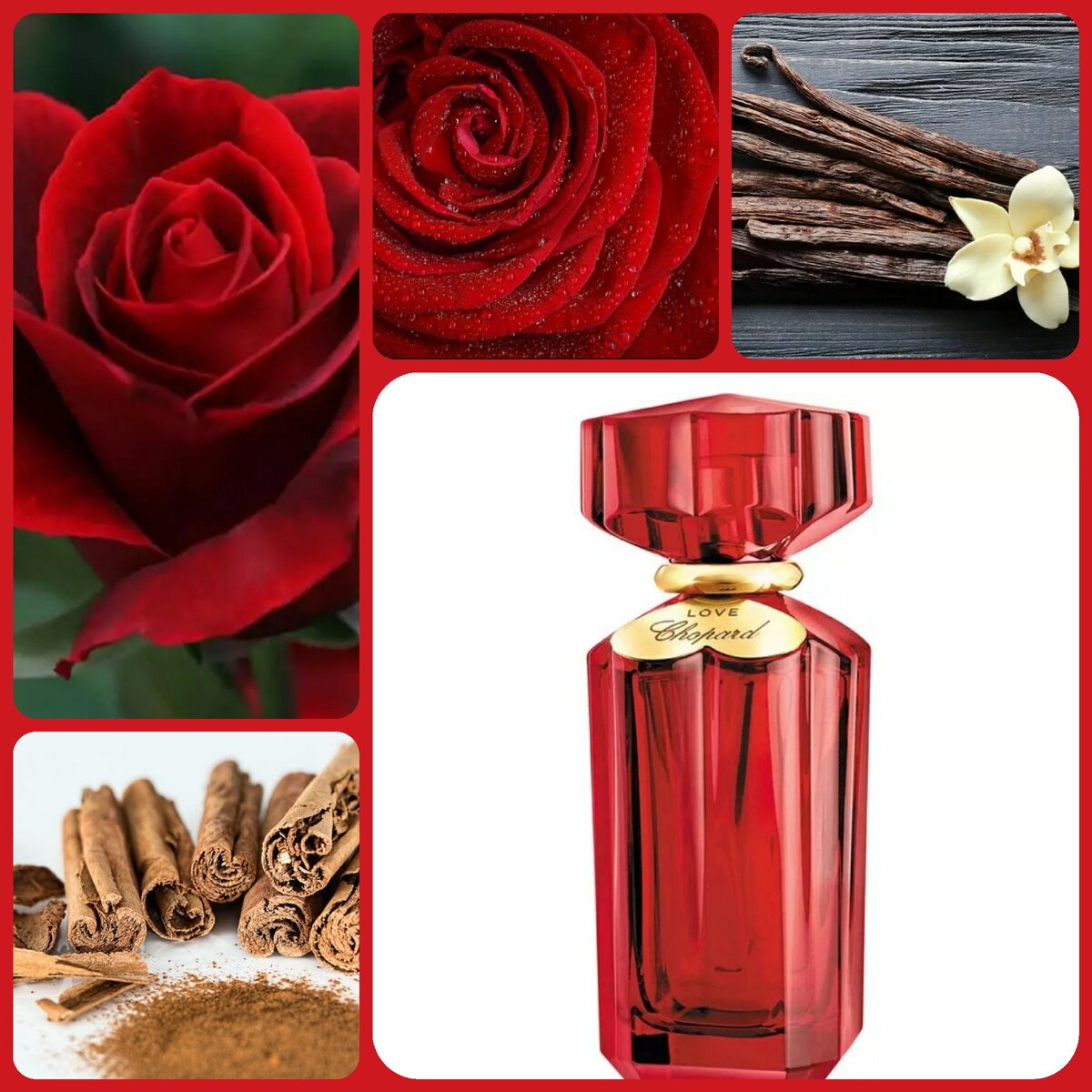 Top parfum 2020. самые модные духи 2020. шанель коко нуар. духи 2020. Parfum 2020.