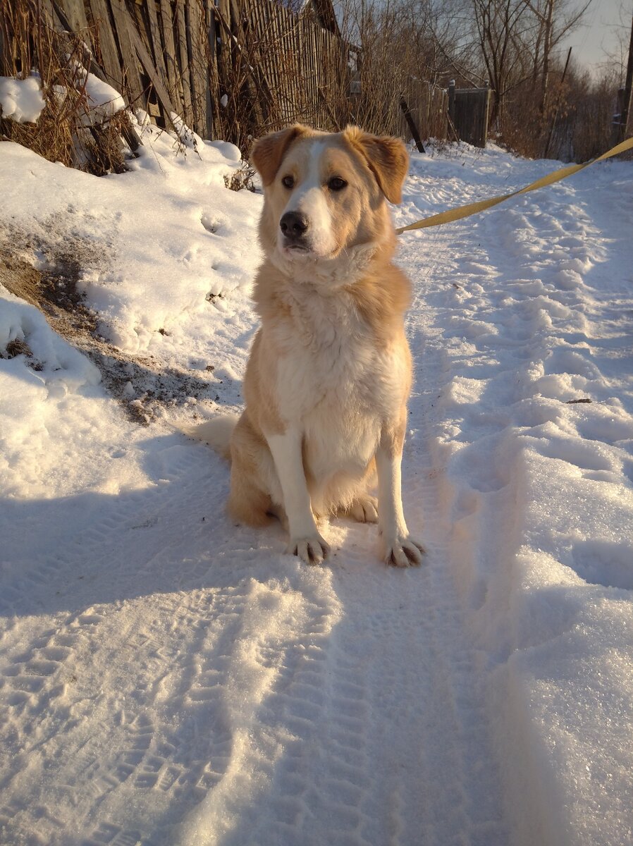 Живёт в Чусовой. 